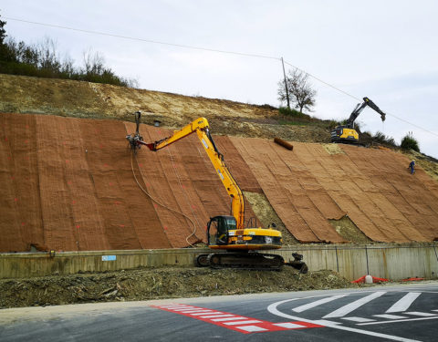 Rafforzamento Corticale con Barre Autoperforanti